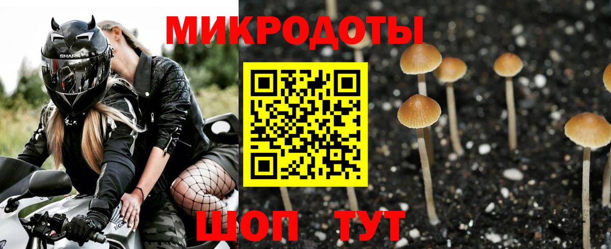 Галлюциногенные грибы Cubensis  Псилоцибиновые грибы Psilocybe  Вход с VPN  наркотики  Зеленогорск 