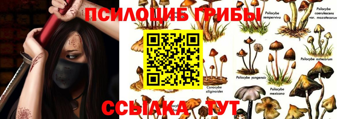 Псилоцибиновые грибы мухоморы Зеленогорск
